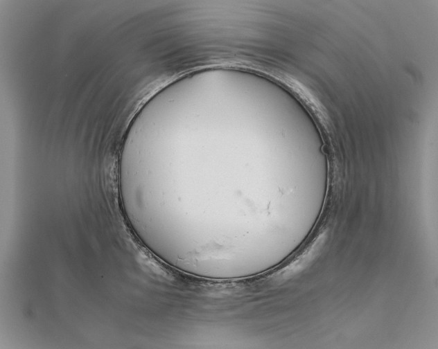 X0000112171001200908281336