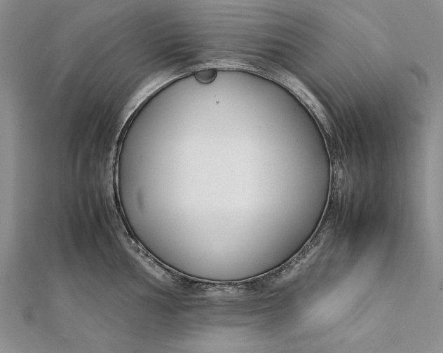 X0000112171002200908281336