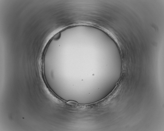 X0000112171003200908281336