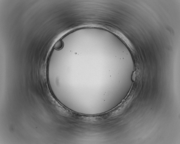 X0000112171004200908281336