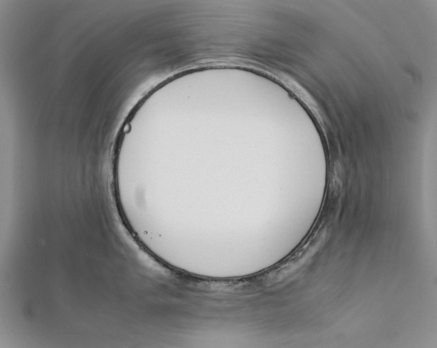 X0000112171005200908281336