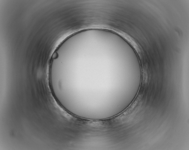 X0000112171006200908281336