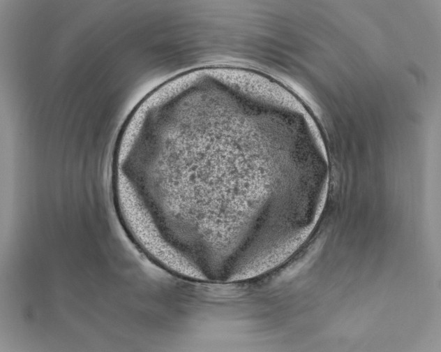 X0000112171007200908281336