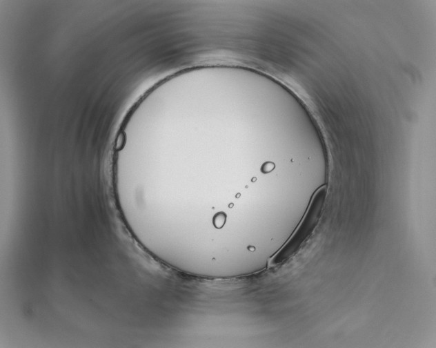 X0000112171008200908281336