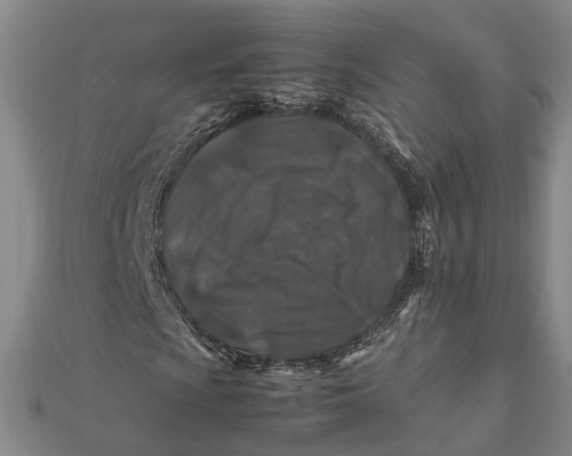 X0000112171009200908281335