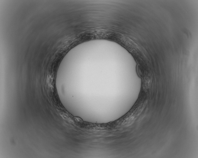 X0000112171010200908281335