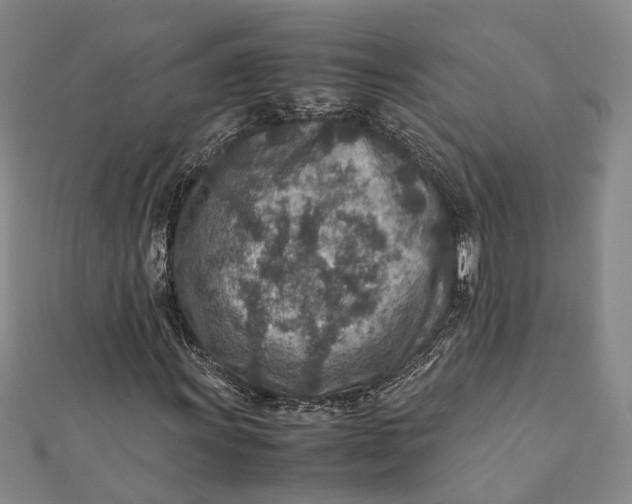 X0000112171011200908281335