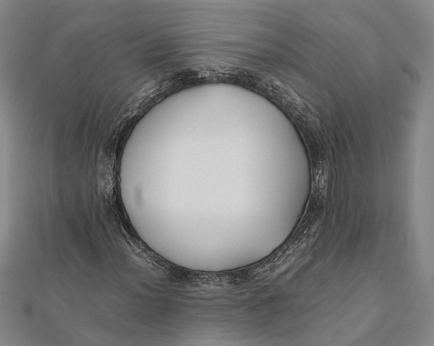 X0000112171012200908281335