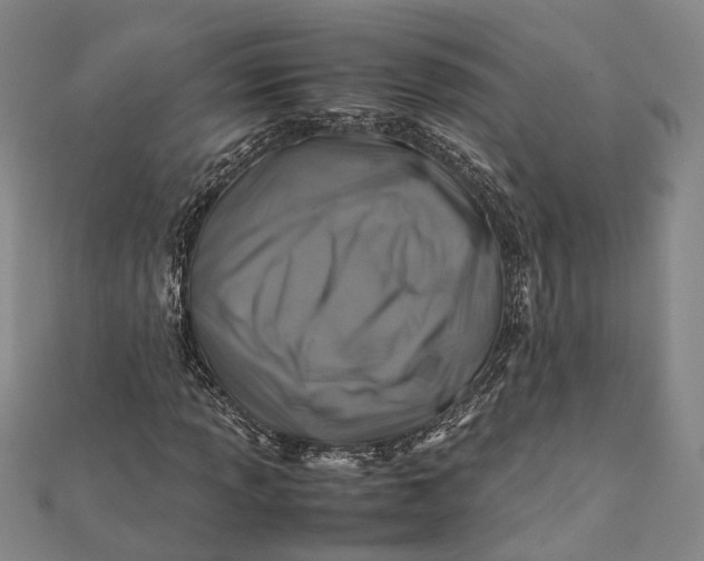 X0000112171013200908281335