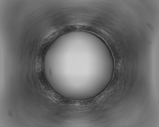 X0000112171014200908281335