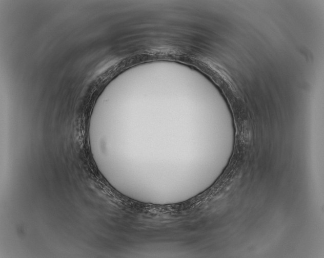 X0000112171015200908281335