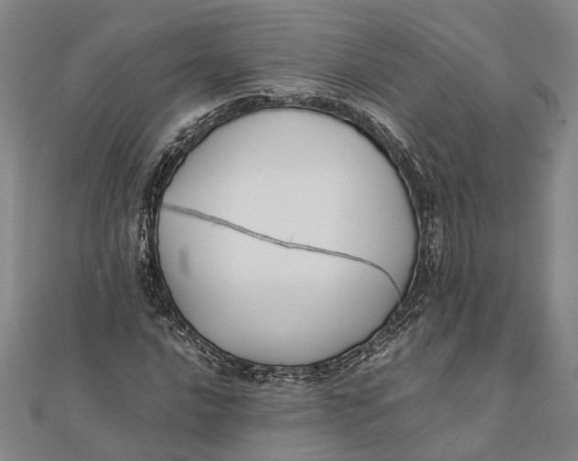 X0000112171016200908281335