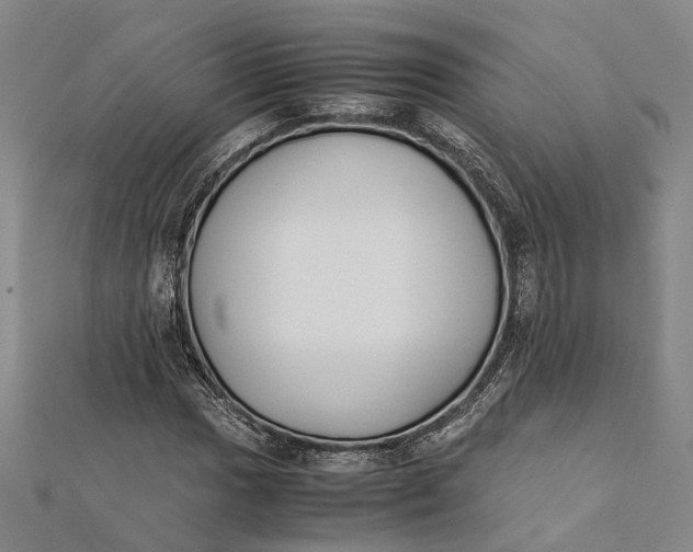 X0000112171017200908281335