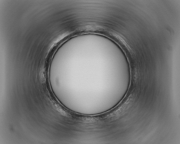 X0000112171018200908281335