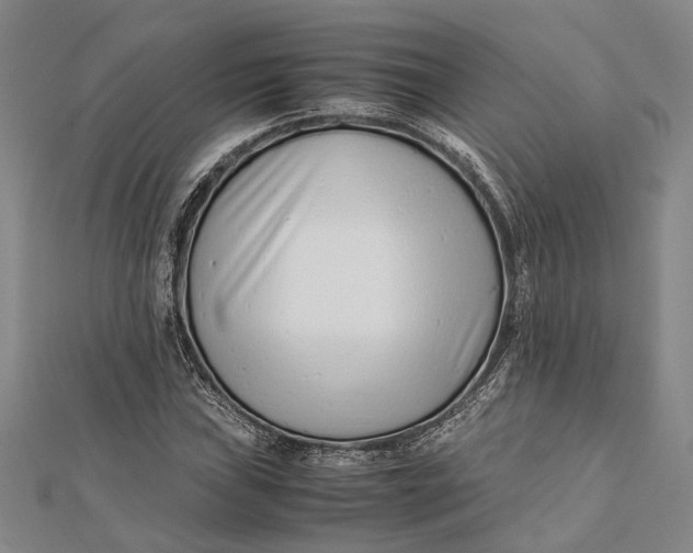 X0000112171019200908281335