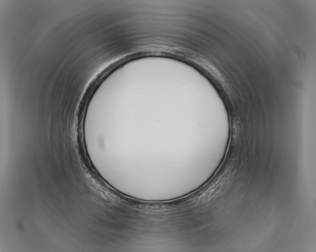 X0000112171020200908281335