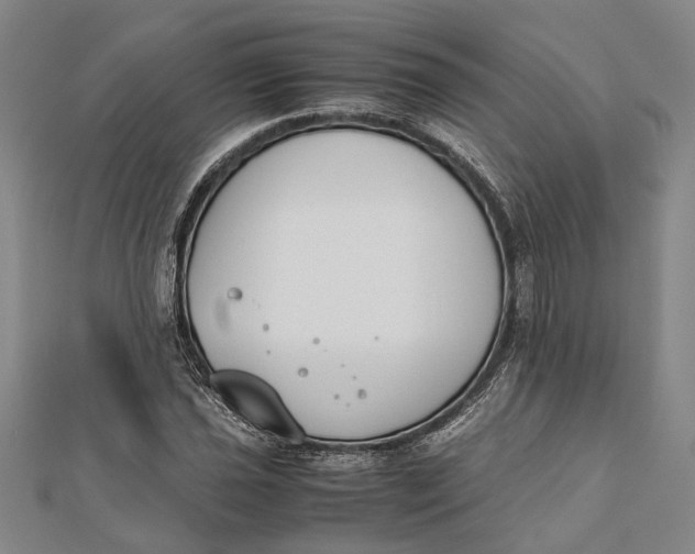 X0000112171021200908281335