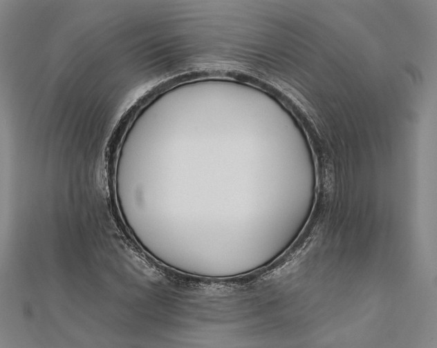 X0000112171022200908281335