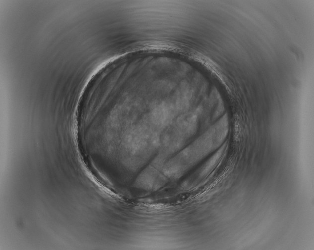 X0000112171024200908281335