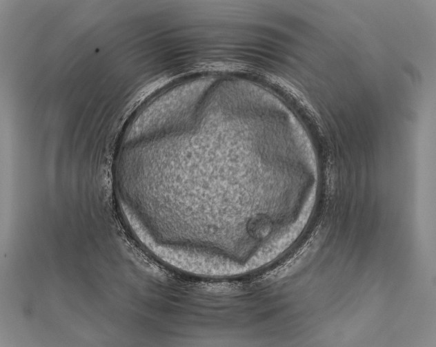 X0000112171025200908281335