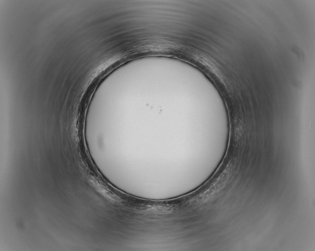 X0000112171026200908281335