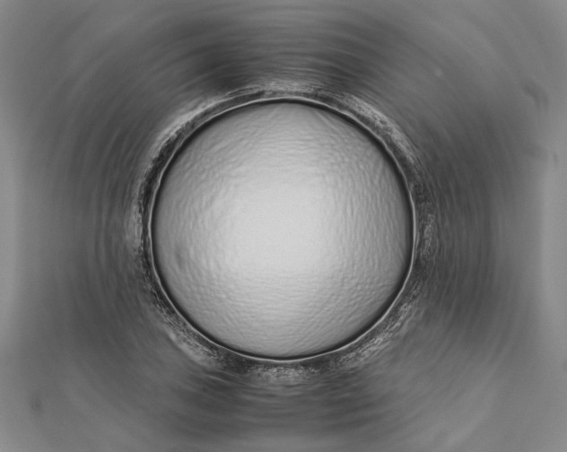 X0000112171027200908281335