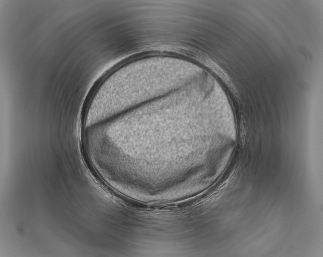 X0000112171028200908281335