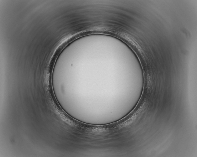 X0000112171029200908281335