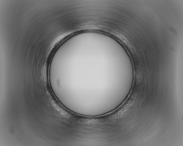 X0000112171030200908281335