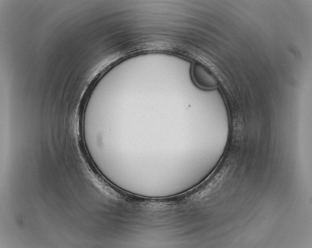 X0000112171034200908281335