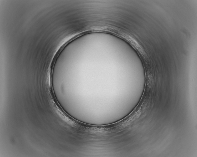 X0000112171036200908281335