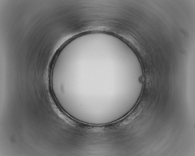 X0000112171038200908281335