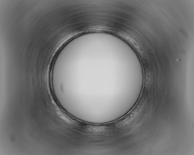 X0000112171039200908281335