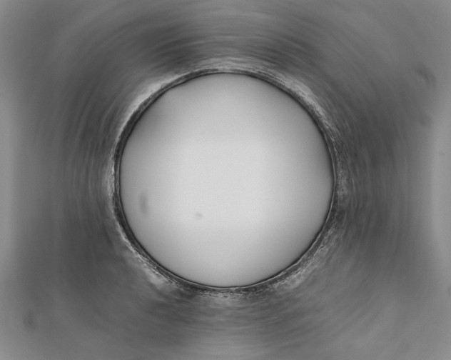 X0000112171040200908281335