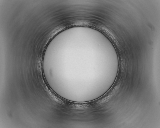 X0000112171041200908281335