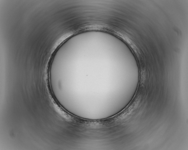 X0000112171042200908281335