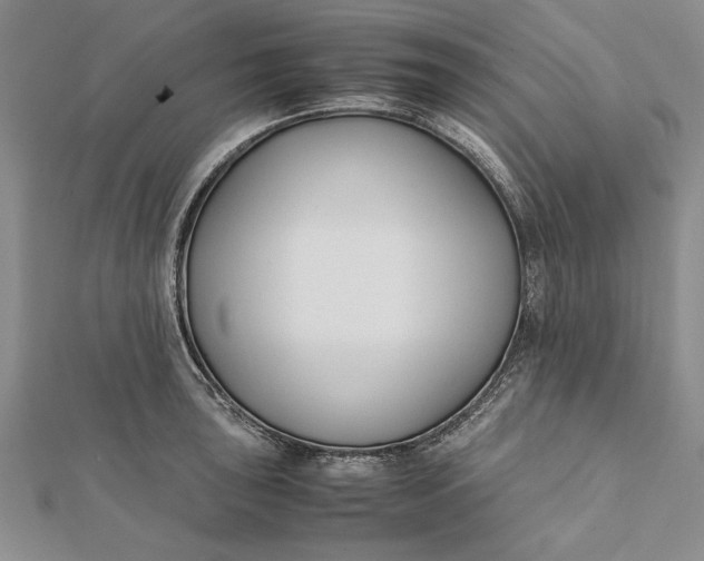 X0000112171043200908281335