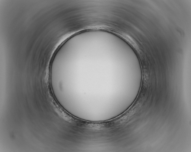 X0000112171044200908281335