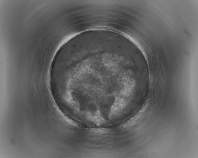 X0000112171045200908281335