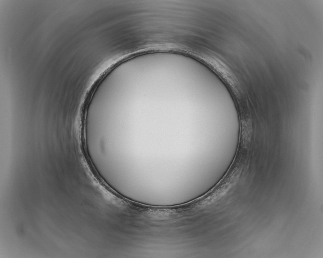 X0000112171046200908281335