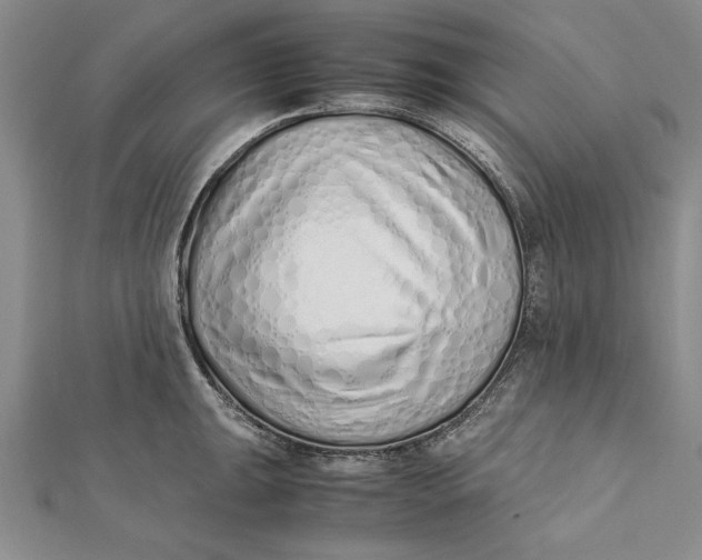 X0000112171047200908281335