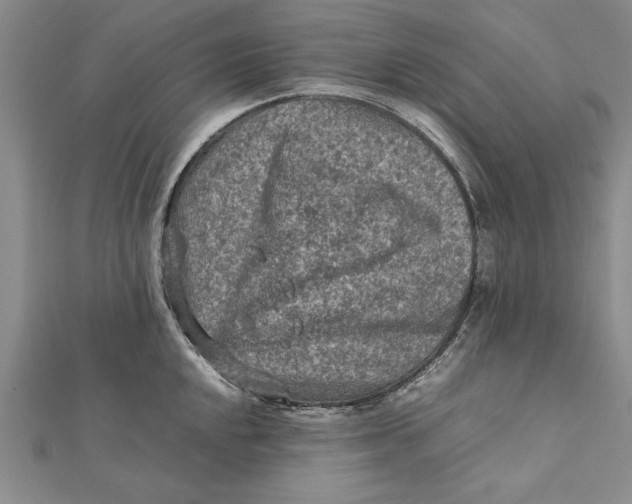 X0000112171048200908281335