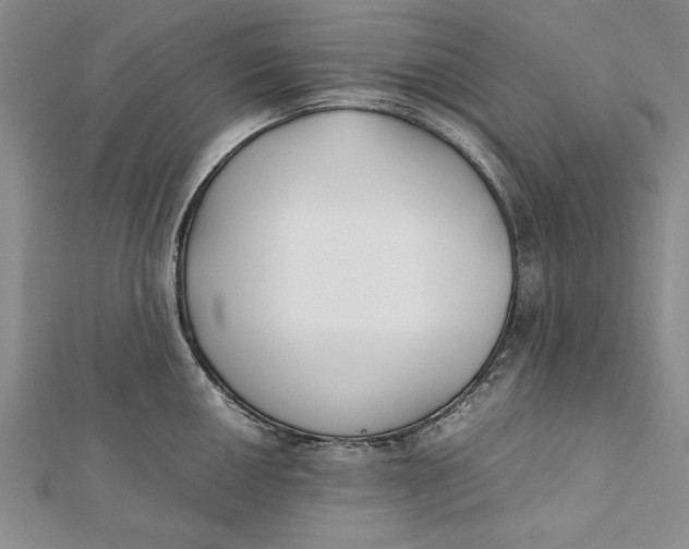 X0000112171050200908281335