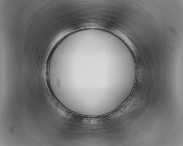 X0000112171051200908281335