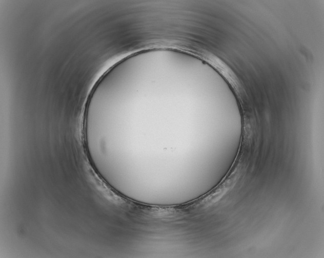 X0000112171052200908281335