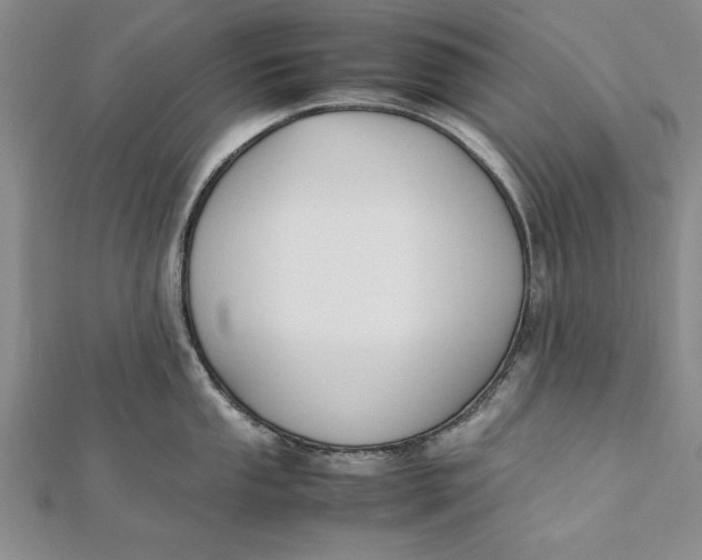 X0000112171053200908281335