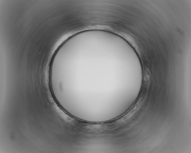 X0000112171054200908281335