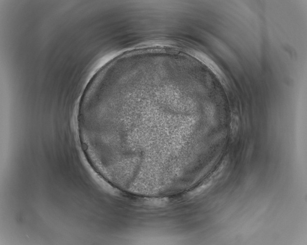 X0000112171055200908281336