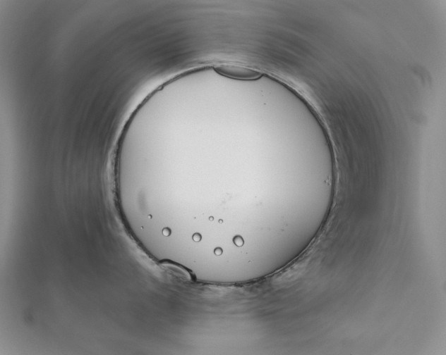 X0000112171056200908281336