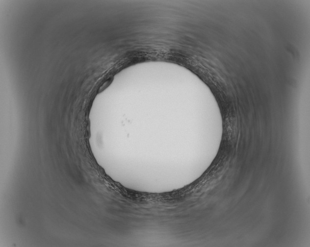 X0000112171057200908281335